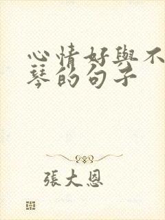 心情好与不好弹琴的句子