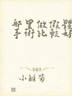 哪里做假体丰胸手术比较好