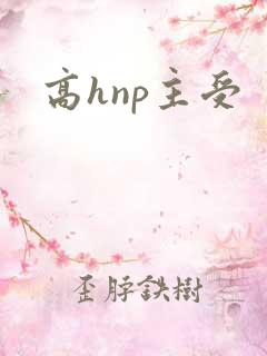 高hnp主受