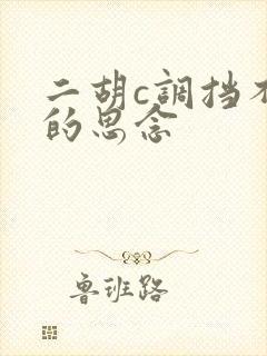 二胡c调挡不住的思念