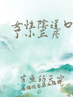 女性阴道口外长了小丘疹