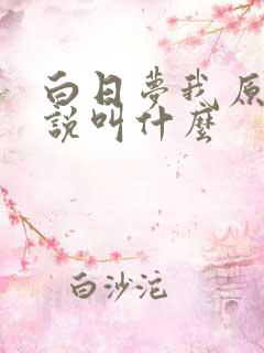 白日梦我原著小说叫什么