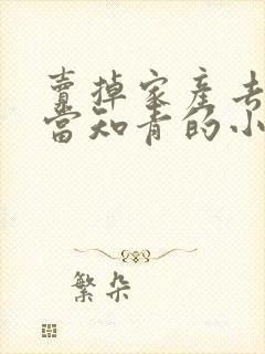 卖掉家产去下乡当知青的小说