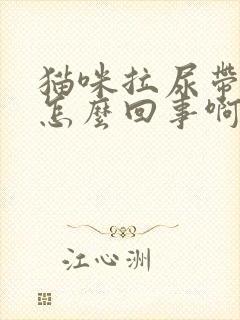 猫咪拉尿带血是怎么回事啊