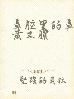 鼻腔里的鼻涕又黄又脓