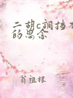 二胡c调挡不住的思念