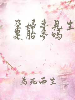 孕妇梦见生女孩是胎梦吗