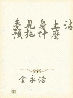 梦见身上沾鸟屎预兆什么