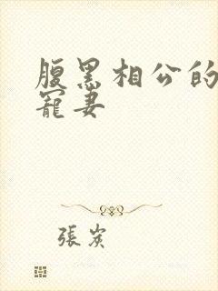 腹黑相公的庶女宠妻