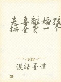 夫妻离婚孩子的抚养费一个月多少钱