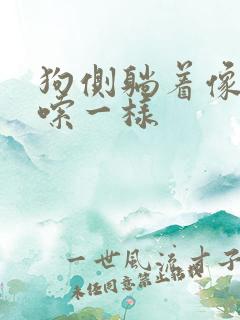 狗侧躺着像打哆嗦一样