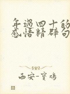 年过四十的人生感悟精辟句子