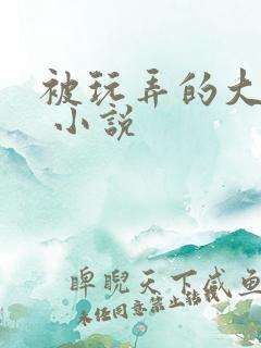 被玩弄的大小姐 小说