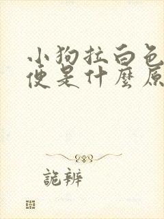 小狗拉白色的便便是什么原因