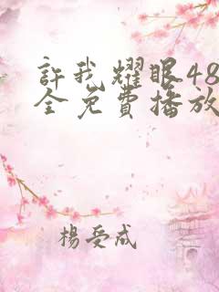 许我耀眼48集全免费播放
