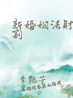 新婚姻法财产分割