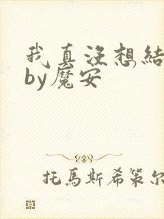 我真没想结婚啊by魔安