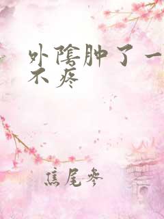 外阴肿了一个包不疼