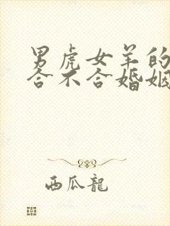 男虎女羊的属相合不合婚姻