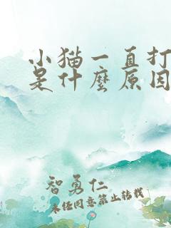 小猫一直打喷嚏是什么原因