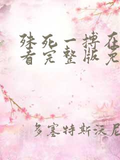 殊死一搏在线观看完整版免费国语版