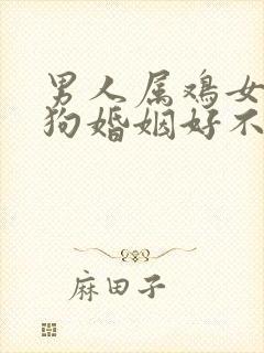 男人属鸡女人属狗婚姻好不好
