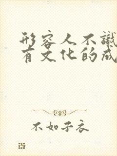 形容人不识字没有文化的成语