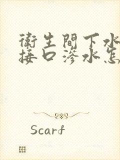 卫生间下水管道接口渗水怎么修