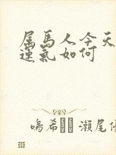 属马人今天打牌运气如何