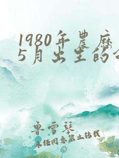 1980年农历5月出生的命运