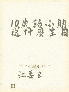 10岁的小朋友送什么生日礼物