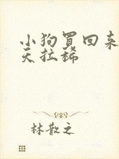 小狗买回来第二天拉稀