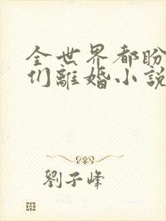 全世界都盼着我们离婚小说免费阅读