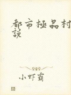 都市极品村医小说
