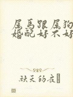 属马跟属狗的人婚配好不好呢