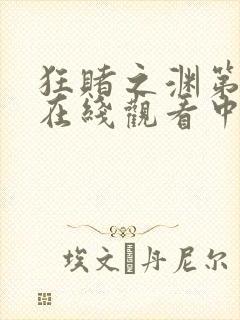 狂赌之渊第一季在线观看中文