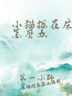 小猫总在床上尿怎么办