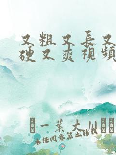 又粗又长又大又硬又爽视频