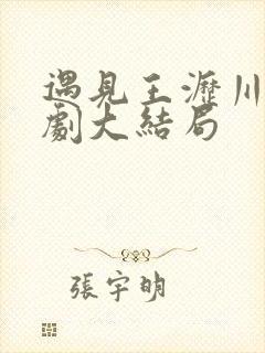 遇见王沥川电视剧大结局