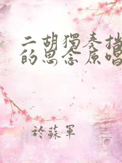 二胡独奏挡不住的思念原唱二胡