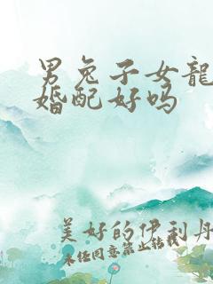 男兔子女龙属相婚配好吗