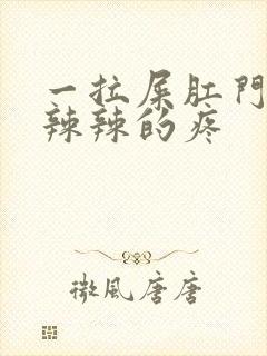 一拉屎肛门就火辣辣的疼