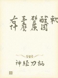 右手臂酸软无力什么原因