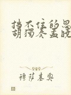 挡不住的思念二胡独奏孟晓旭