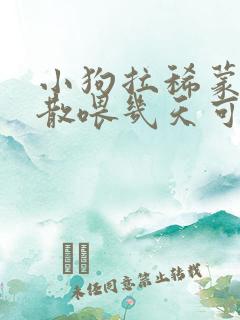 小狗拉稀蒙脱石散喂几天可以好