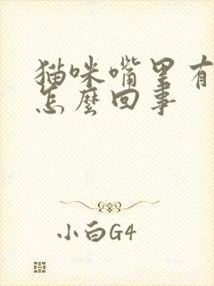 猫咪嘴里有粘液怎么回事