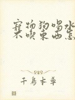 宠物狗喝水吐水不吃东西怎么办