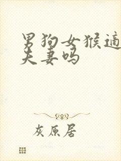 男狗女猴适合做夫妻吗