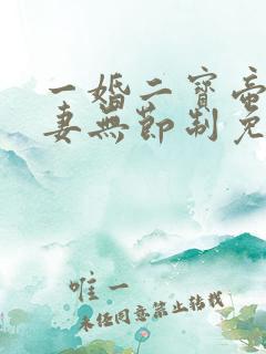 一婚二宝帝少宠妻无节制免费阅读