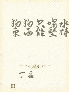 狗狗只喝水不吃东西能坚持多久